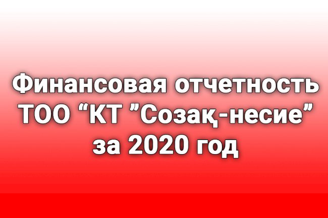 Финансовая отчетность ТОО ''КТ ''Созақ-несие'' за 2020 год