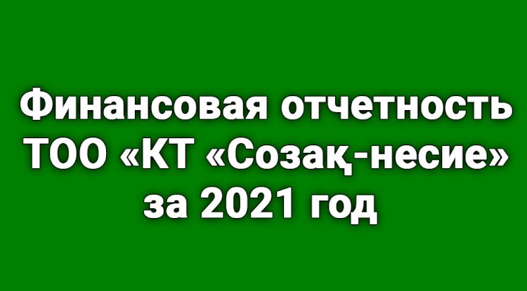 Финансовая отчетность ТОО «КТ «Созақ-несие» за 2021 год