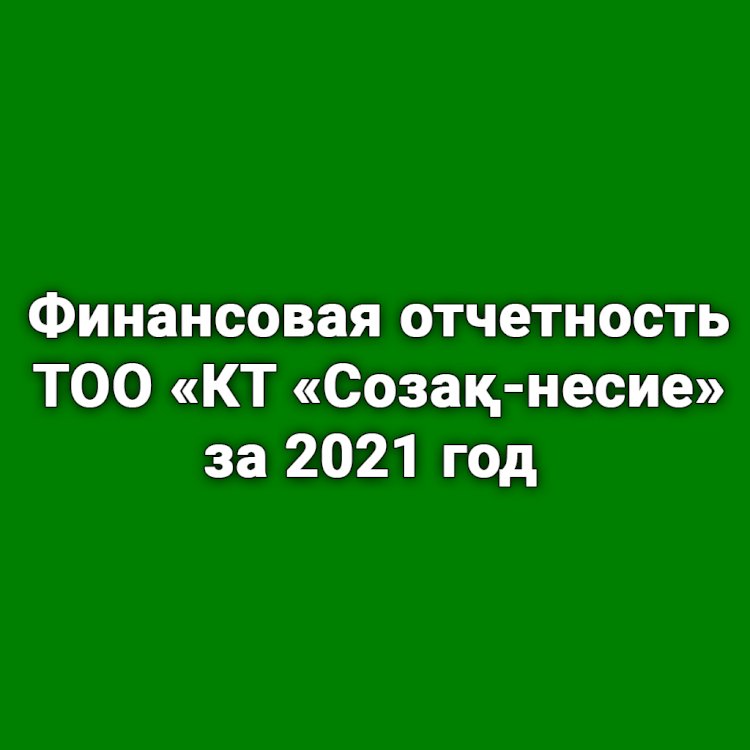 Финансовая отчетность ТОО «КТ «Созақ-несие» за 2021 год